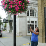 watering flowers on High Street